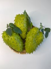 Trái mãng cầu gai giả giống thật như đúc, mô hình trái cây giả quả mãng cầu gai - Loại xịn