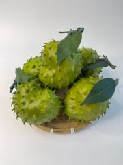 Trái mãng cầu gai giả giống thật như đúc, mô hình trái cây giả quả mãng cầu gai - Loại xịn