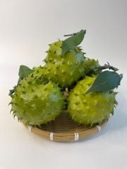Trái mãng cầu gai giả giống thật như đúc, mô hình trái cây giả quả mãng cầu gai - Loại xịn