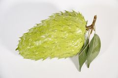 Trái mãng cầu gai giả giống thật như đúc, mô hình trái cây giả quả mãng cầu gai - Loại xịn