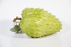 Trái mãng cầu gai giả giống thật như đúc, mô hình trái cây giả quả mãng cầu gai - Loại xịn