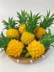 Trái Thơm giả đẹp như thật, trái cây giả cao cấp loại xịn giống thật 99% -  Trái thơm giả trang trí