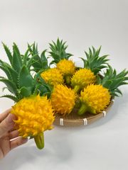 Trái Thơm giả đẹp như thật, trái cây giả cao cấp loại xịn giống thật 99% -  Trái thơm giả trang trí