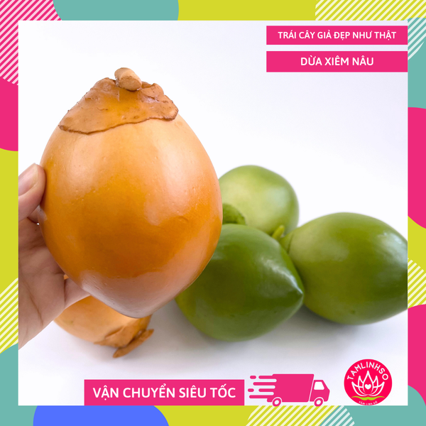 Trái Dừa xiêm giả giống thật như đúc, mô hình trái cây giả quả dừa xiêm nâu - Loại xịn