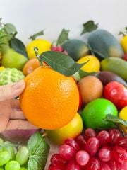 Hoa quả giả chưng bàn thờ, trái cây giả đặt trang trí đền chùa, am miếu ngoài trời bền đẹp - Loại VIP đặc ruột, giống thật 99.99%