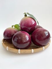Trái vú sữa giả siêu thật, trái cây giả cao cấp loại xịn giống thật 99% -  Quả vú sữa tím