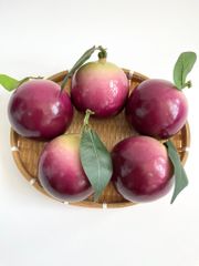 Trái vú sữa giả siêu thật, trái cây giả cao cấp loại xịn giống thật 99% -  Quả vú sữa tím