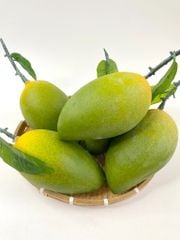 Trái Xoài giả đẹp như thật, trái cây giả cao cấp loại xịn giống thật 99% -  Quả xoài giả