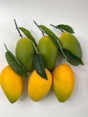 Trái Xoài giả đẹp như thật, trái cây giả cao cấp loại xịn giống thật 99% -  Quả xoài giả