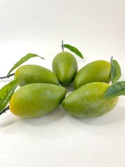 Trái Xoài giả đẹp như thật, trái cây giả cao cấp loại xịn giống thật 99% -  Quả xoài giả