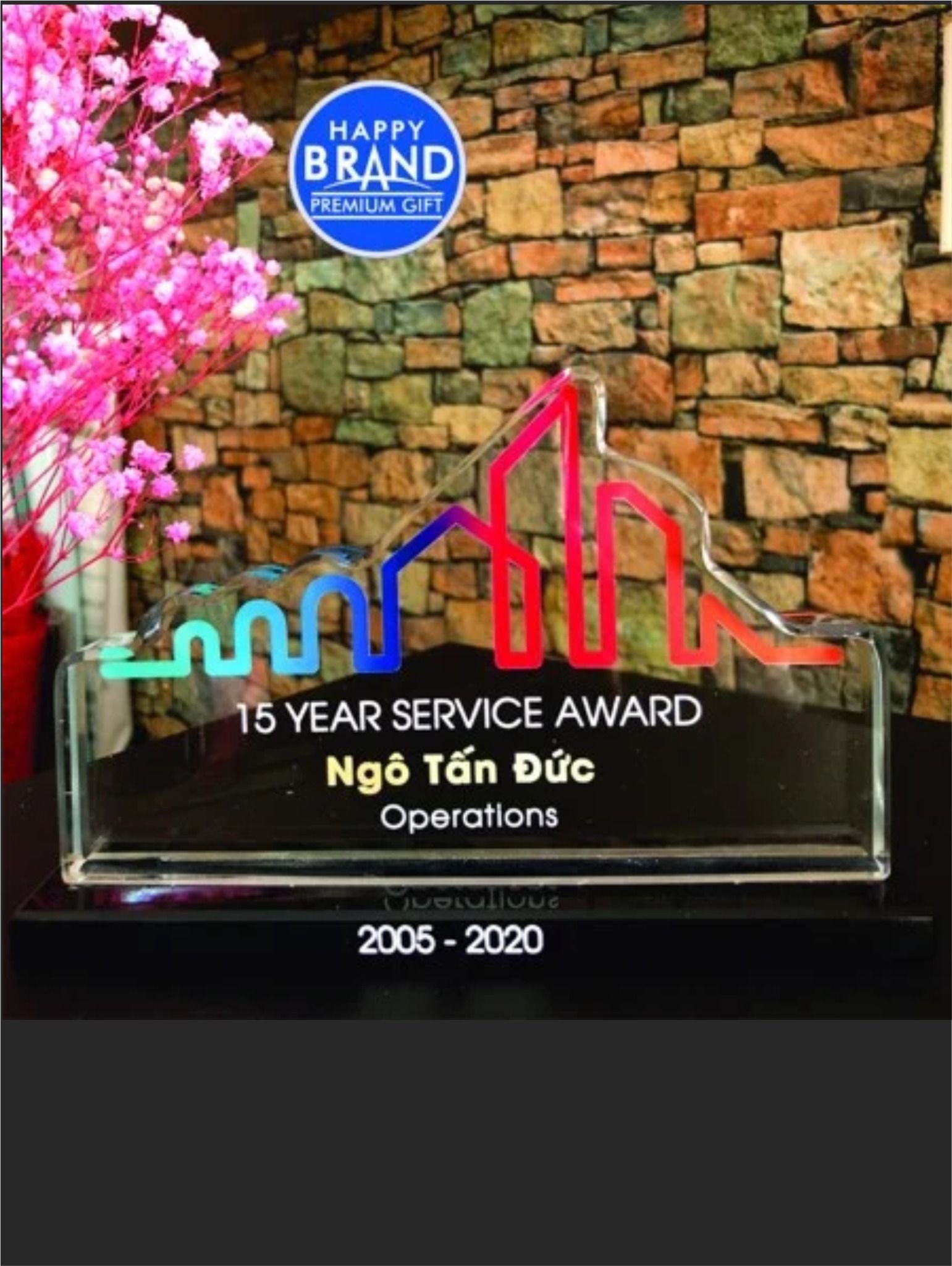 Kỷ niệm chương - Saint Gobain