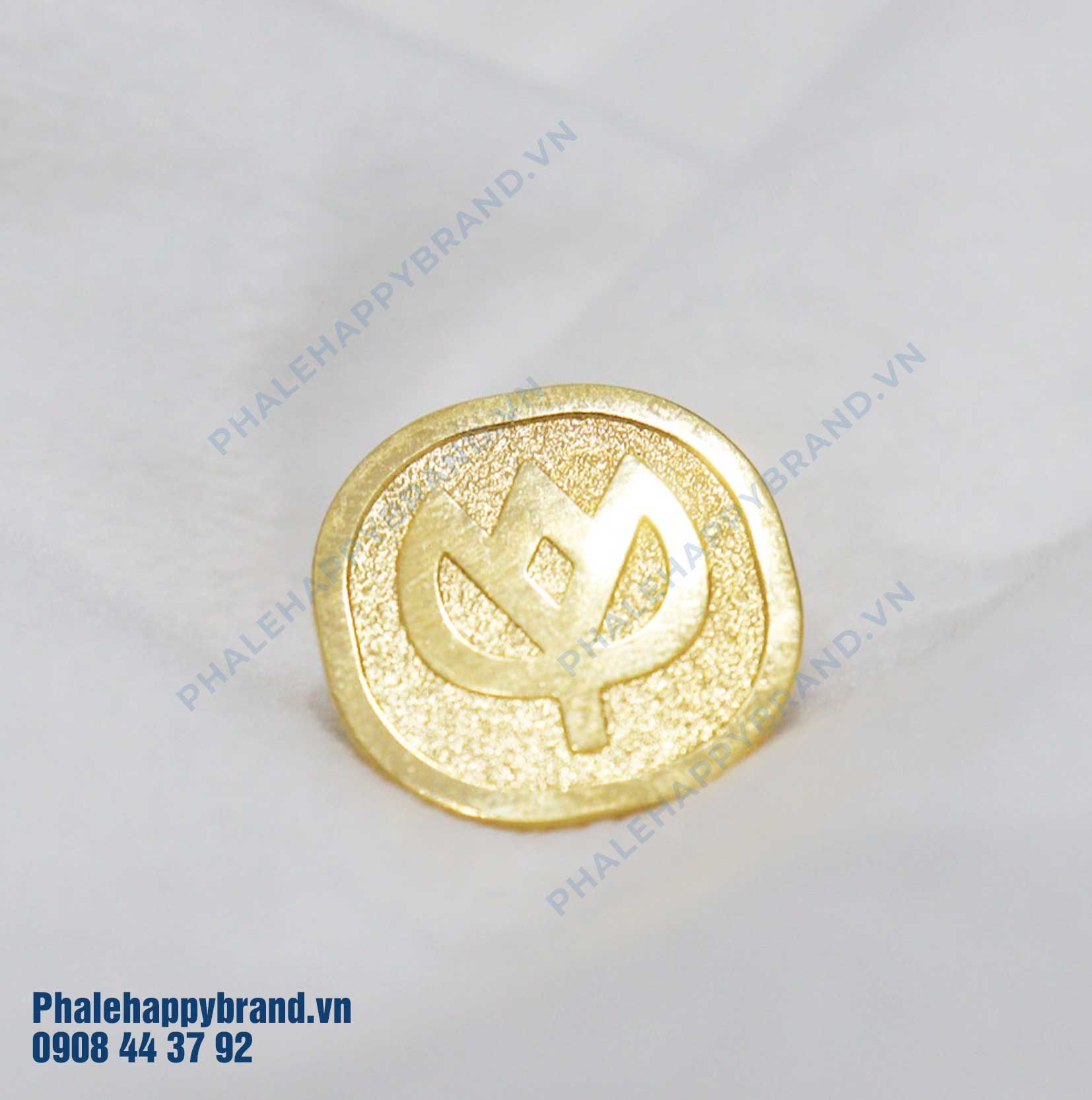 Huy Hiệu Đúc HH10