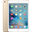 iPad Mini 4 WIFI 16G Likenew