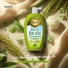 SỮA TẮM CÁM GẠO SÁNG DA - HACHI RICE BRAN