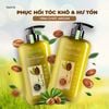 Combo dầu gội xả ARGAN - dành cho tóc hư tổn - HACHI VIETNAM ®