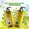 Combo dầu gội xả TRÀ XANH - dành cho tóc dầu - HACHI VIETNAM ®