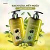 Combo dầu gội xả OLIVE - dành cho tóc gàu - HACHI VIETNAM ®