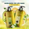 Combo dầu gội xả BƯỞI - dành cho tóc gãy rụng - HACHI VIETNAM ®