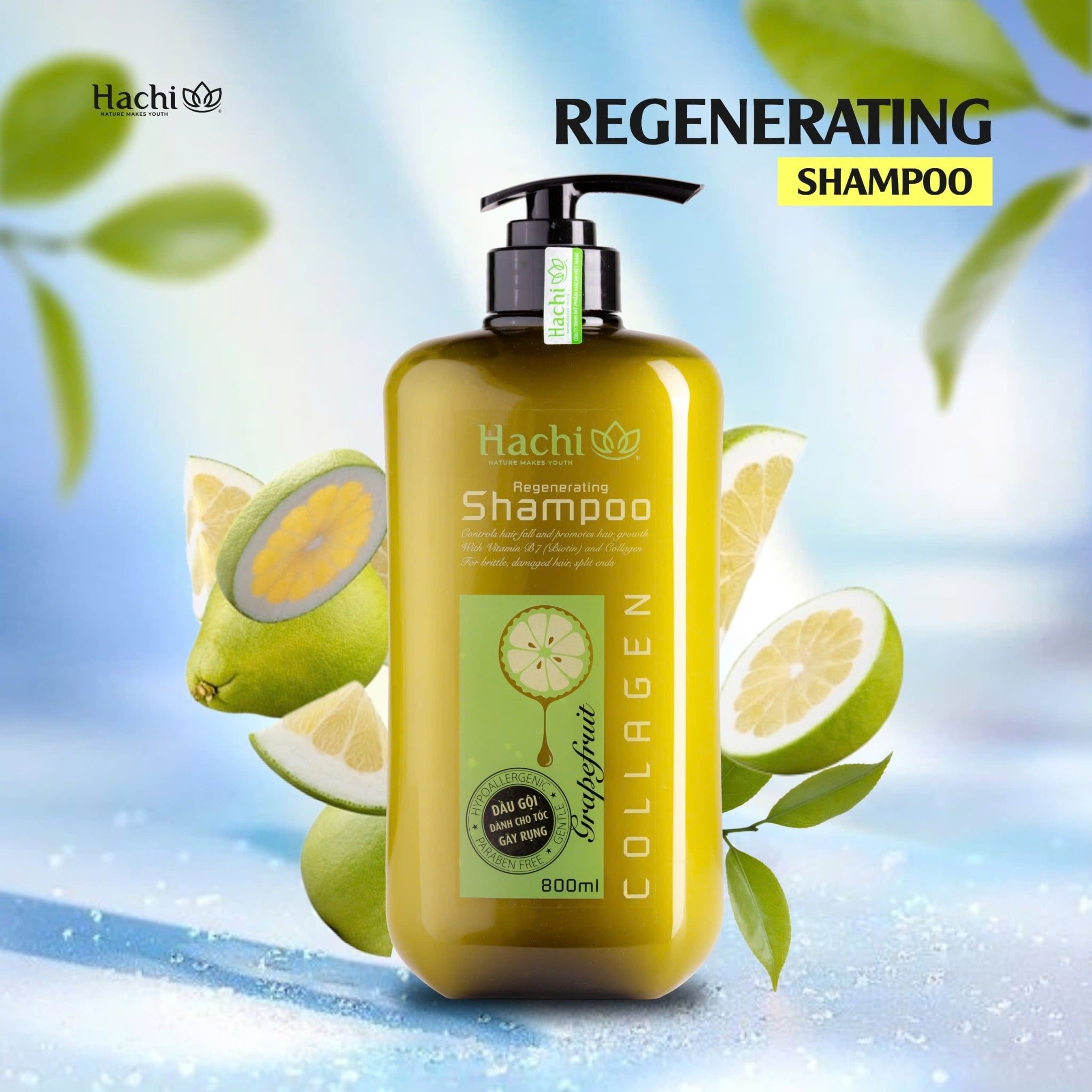 Dầu gội HACHI VIETNAM ® tinh dầu bưởi ngăn ngừa gãy rụng GRAPEFRUIT - Regenerating Shampoo