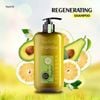 Dầu gội HACHI VIETNAM ® tinh dầu bưởi ngăn ngừa gãy rụng GRAPEFRUIT - Regenerating Shampoo