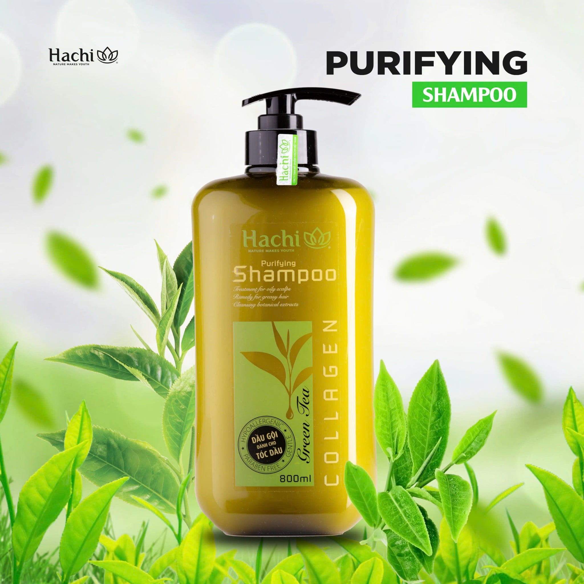 シャンプー hachi Dầu gội HACHI VIETNAM ® - chiết xuất trà xanh dành cho tóc dầu