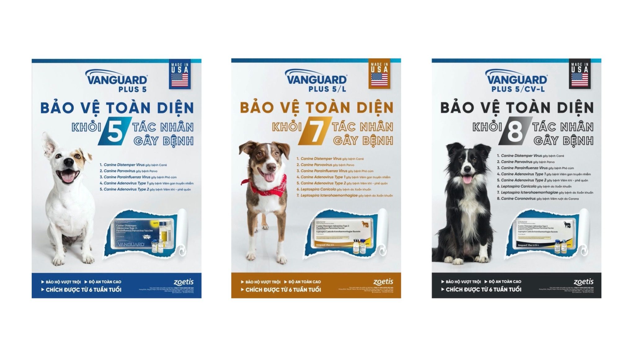 vaccine-5-b-nh-vanguard-plus-5-zoetis-c-ng-ty-tnhh-th-ng-m-i-vinoda
