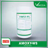 AMOXY - WS