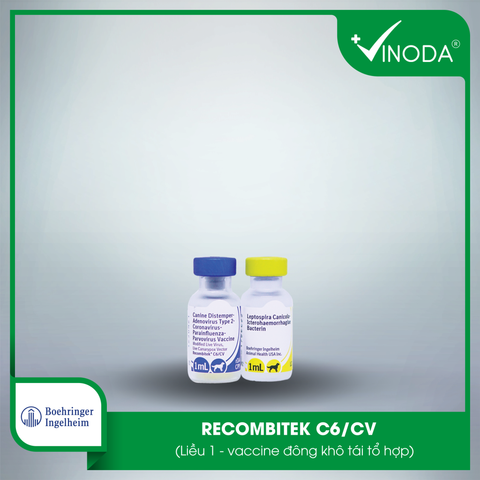 Vaccine phòng 7 bệnh 8 tác nhân RECOMBITEK C6/CV