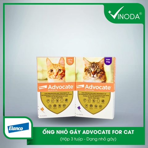 ADVOCATE FOR CATS