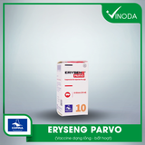 ERYSENG PARVO