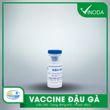 Vaccine ĐẬU GÀ