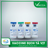 Vaccine DỊCH TẢ VỊT