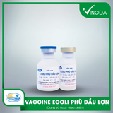 Vaccine ECOLI PHÙ ĐẦU LỢN