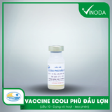 Vaccine ECOLI PHÙ ĐẦU LỢN