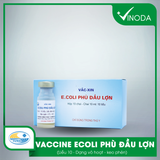 Vaccine ECOLI PHÙ ĐẦU LỢN