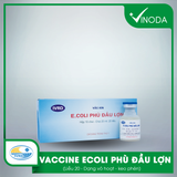 Vaccine ECOLI PHÙ ĐẦU LỢN