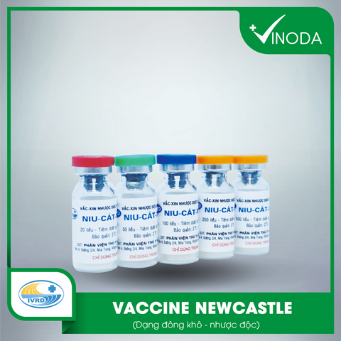 Vaccine NEWCASTLE (Niu-cát-xơn)