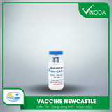 Vaccine NEWCASTLE (Niu-cát-xơn)