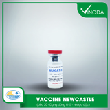 Vaccine NEWCASTLE (Niu-cát-xơn)