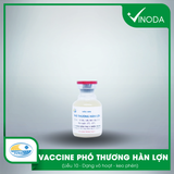 Vaccine PHÓ THƯƠNG HÀN LỢN