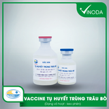 Vaccine TỤ HUYẾT TRÙNG TRÂU, BÒ