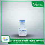 Vaccine TỤ HUYẾT TRÙNG TRÂU, BÒ