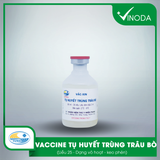 Vaccine TỤ HUYẾT TRÙNG TRÂU, BÒ