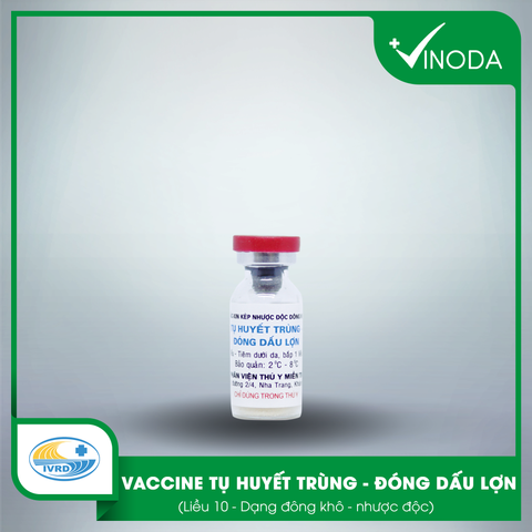 Vaccine Kép 02: TỤ HUYẾT TRÙNG - ĐÓNG DẤU LỢN