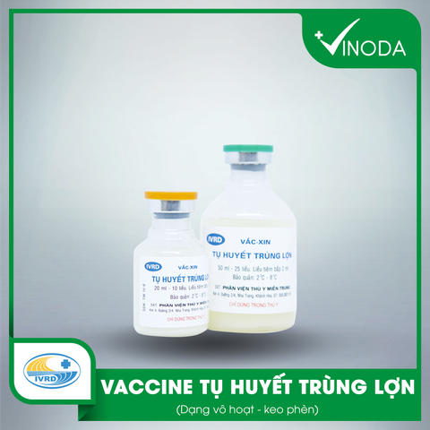 Vaccine TỤ HUYẾT TRÙNG LỢN
