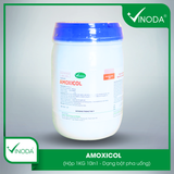 AMOXICOL (50%)