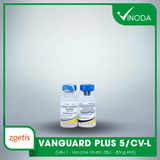 VANGUARD PLUS 5/CV-L