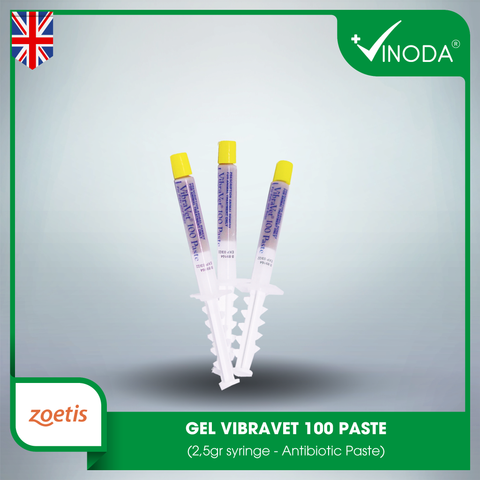 VIBRAVET 100 PASTE Syringe