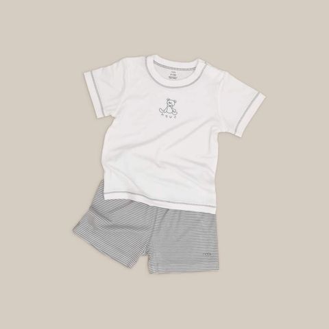 Cvc nous petit kẻ ghi trắng in hình gấu