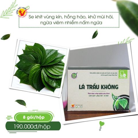 Lá trầu không - xông phụ khoa Bảo Nhiên